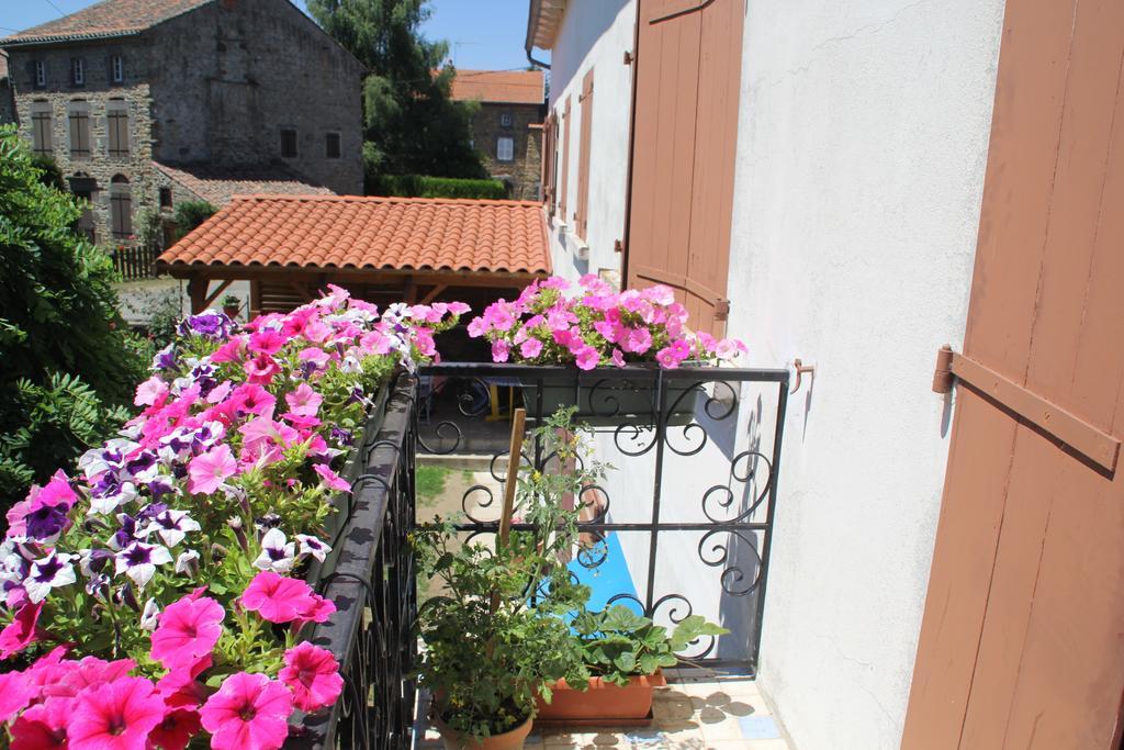 La Maison Des Chats Saint-Mary-le-Plain Exterior foto